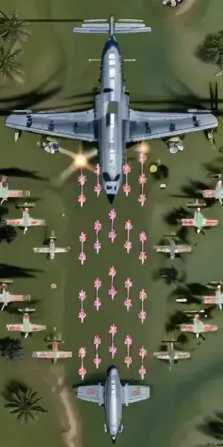 Night raid finale stage